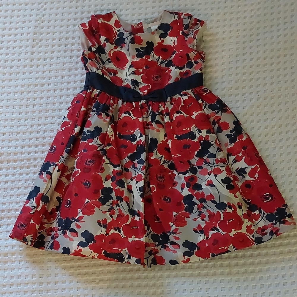 Janie and Jack Vibrant Red Floral Dress with Dark Accents